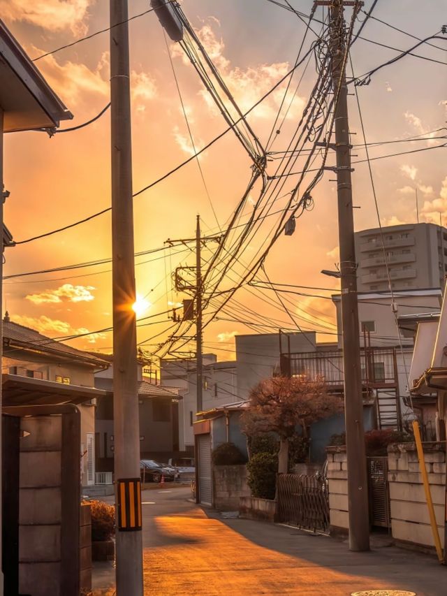 漫步東京的黃昏日落