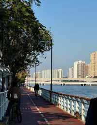 香港大美督單車路線攻略，超靚！