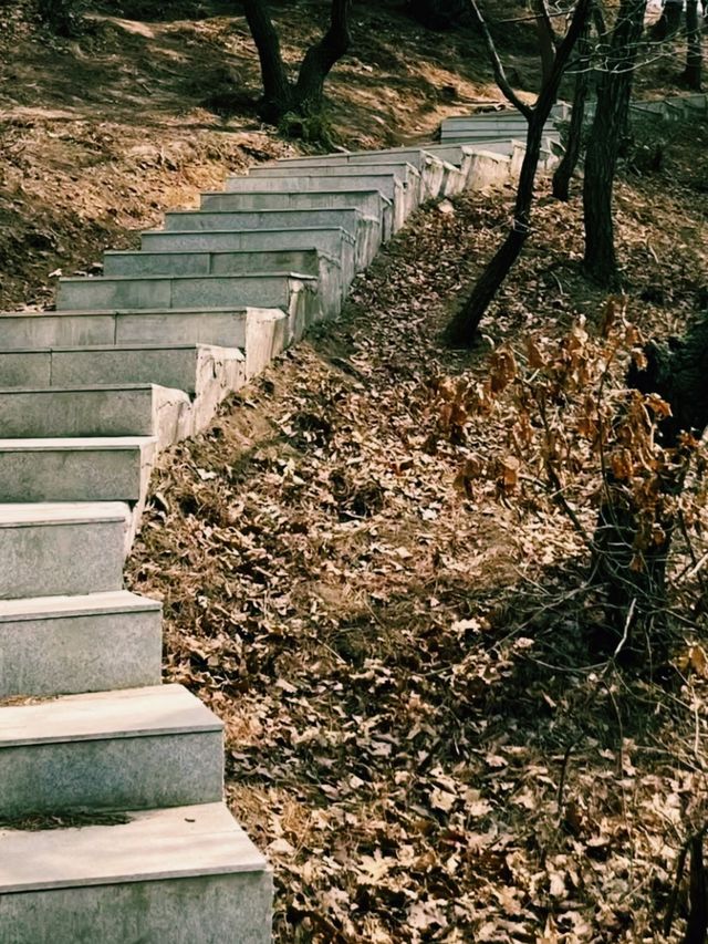 「山王之王」輕鬆登山  風景「美翻」