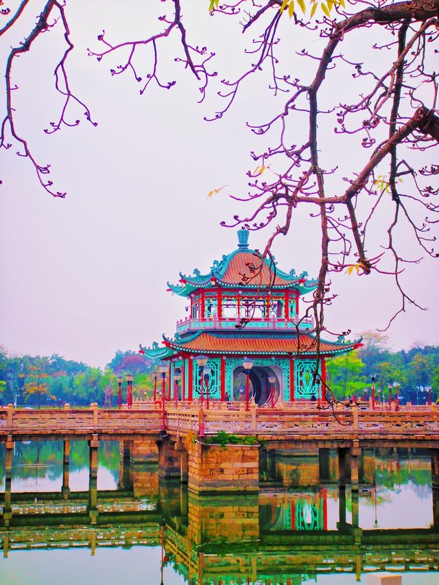 打卡榕江西湖，開啟一趟在湖光水色裡的夢幻尋幽之旅
