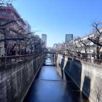 中目黑 | 日本🇯🇵我最愛的city walk線路