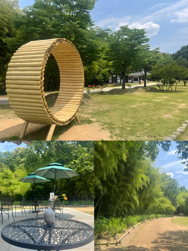 誤入韓國的綠野仙蹤 | 潭陽郡竹綠苑