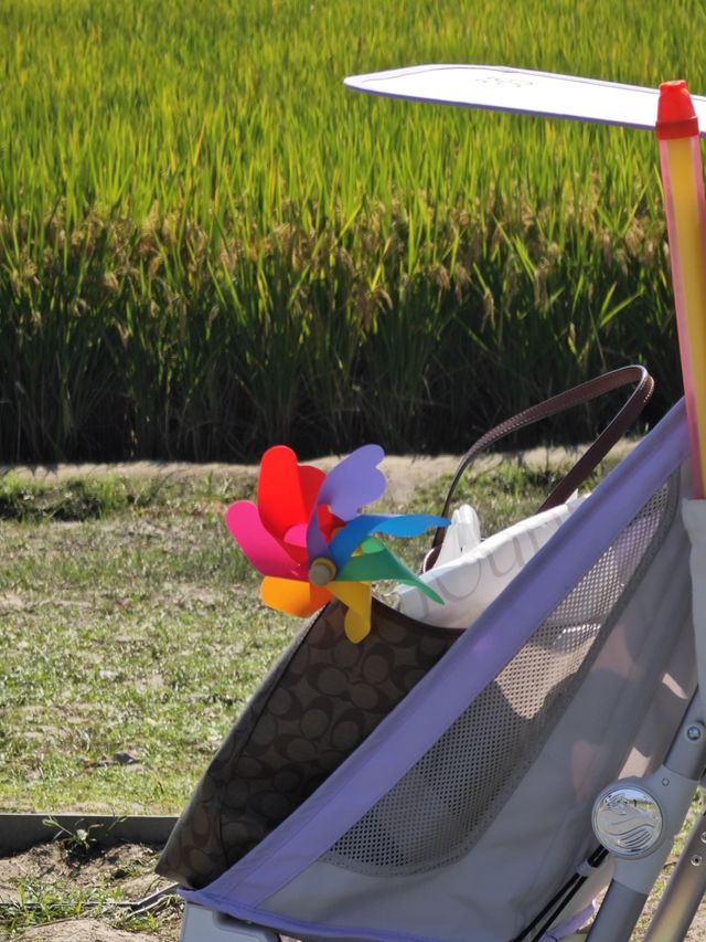 如歌的旅程｜3月限定杭州良渚古城免費了，千萬別錯過