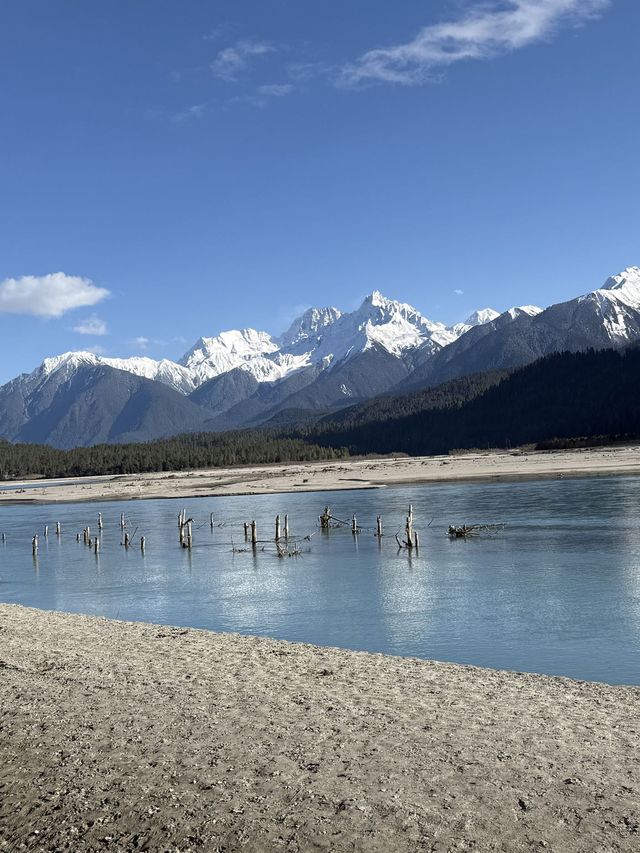 林芝—波密森林之旅 讓你體驗不一樣的自然之美