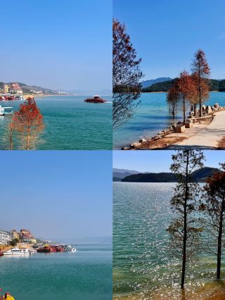Chenzhou's Hidden Gem | Dongjiang Lake's Phoenix Island, Exquisitely Beautiful