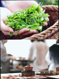 景德鎮|清明假期三天親子遊