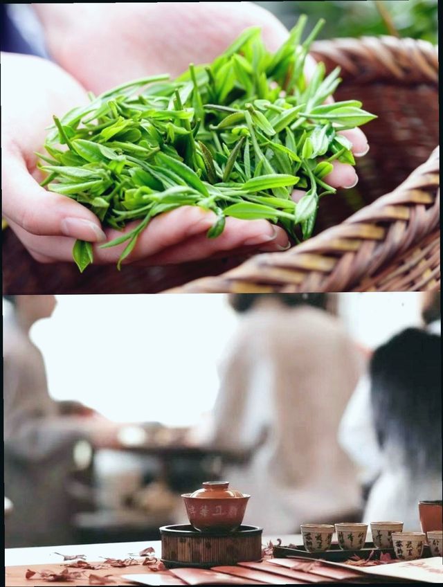 景德鎮|清明假期三天親子遊
