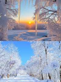 在哈爾濱！最像芬蘭的小眾賞雪地！
