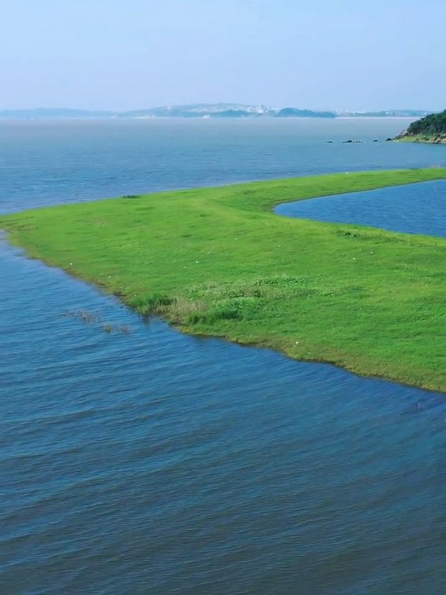 春日已綠鄱陽湖草海，美到窒息嘅仙境
