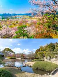 東京近郊茨城縣廳所在地水戶必去景點推薦！