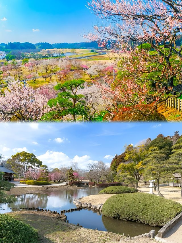 東京近郊茨城縣廳所在地水戶必去景點推薦！