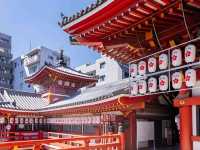 🌸Trip接送機|日本春日出遊指南·名古屋2