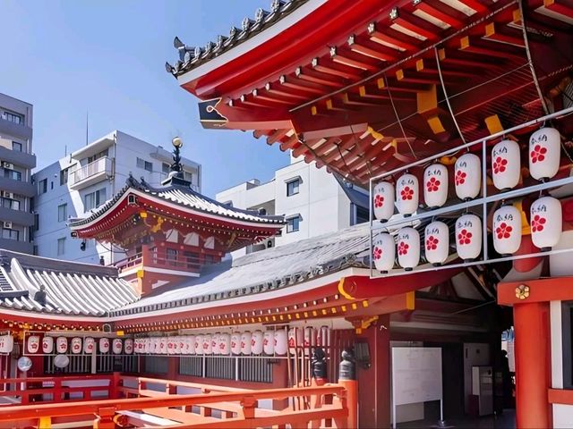 🌸Trip接送機|日本春日出遊指南·名古屋2
