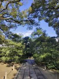 禪意幽深：漫步萬松山承天寺的靜謐時光
