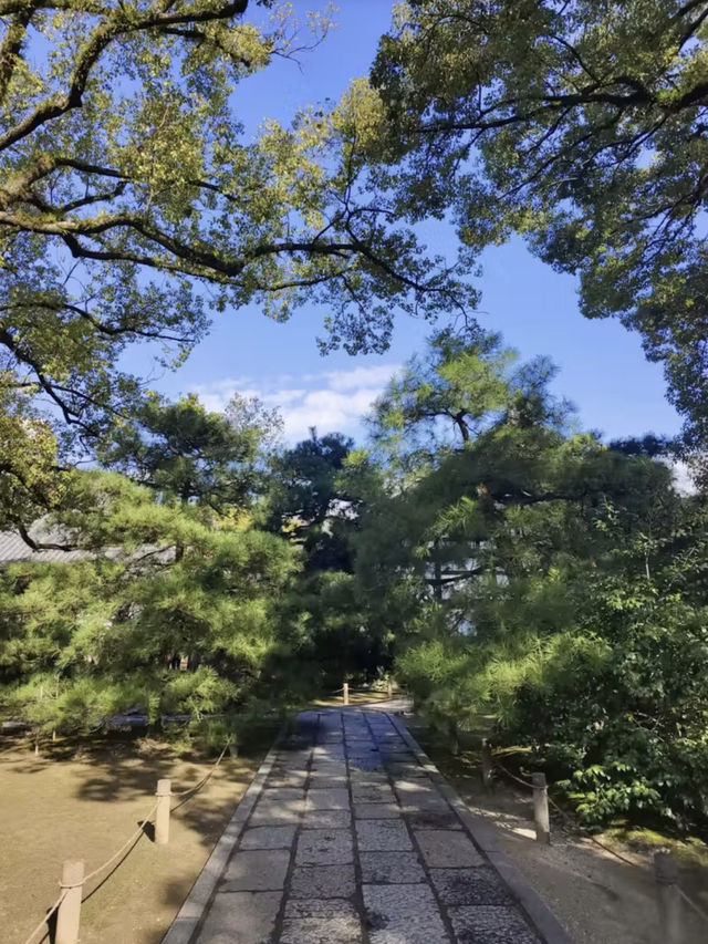 禪意幽深：漫步萬松山承天寺的靜謐時光