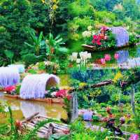 勇闖綠野仙蹤仙湖植物園