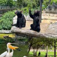 Kunming | A Hotel I'd Stay Again – The Choice for Cost-Effective Quality