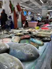 🎣🎣Market N1: Sanya’s Vibrant Fresh Produce Paradise* 🍍  