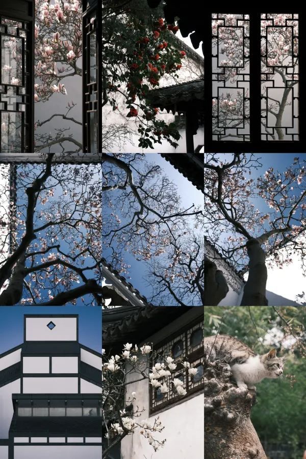 Discover the Beauty of Suzhou Gardens