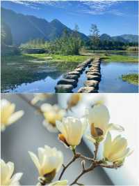 江浙滬2小時達 | 5個躺平休閒地週末說走就走