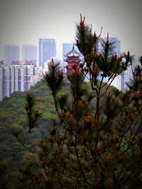 Huishan Ancient Town – Scenic & Historic