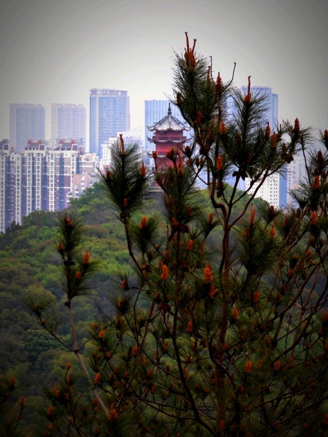 Huishan Ancient Town – Scenic & Historic