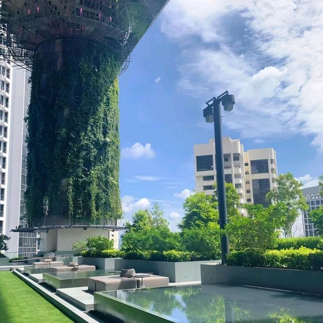 新加坡烏節泛太平洋酒店｜住進「天空綠洲」，300%綠植覆蓋的奢華體驗！✨