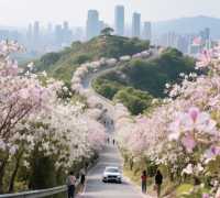 福州旅遊全攻略