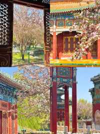 穿越千年皇家園林，邂逅北海公園的浪漫與詩意