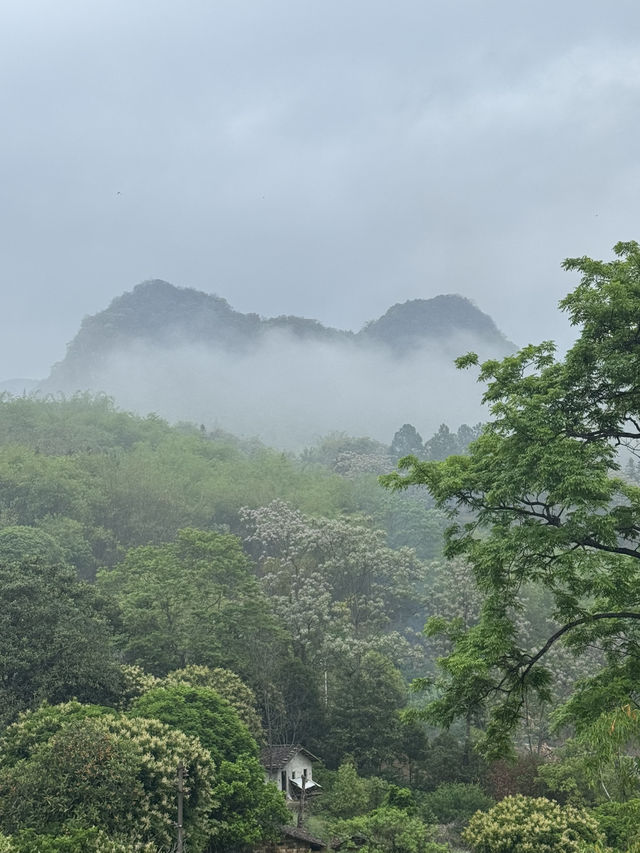 遠離繁囂 洗滌心靈 - 清遠