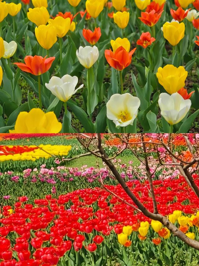 國家植物公園：一場與自然的深度對話