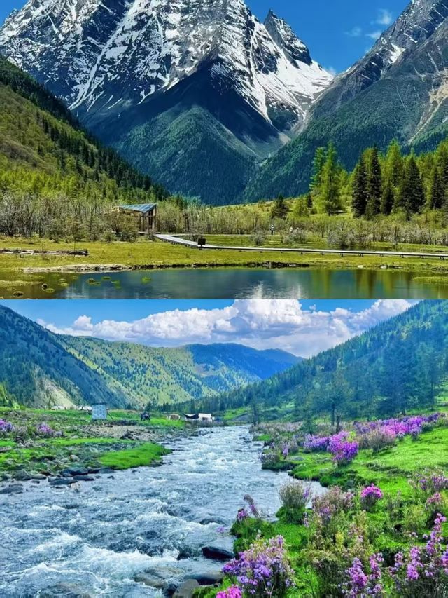 夏天的川西永遠不缺生命力
