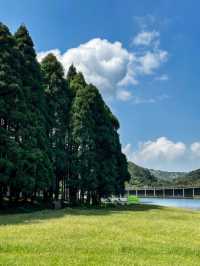 大容山國家森林公園