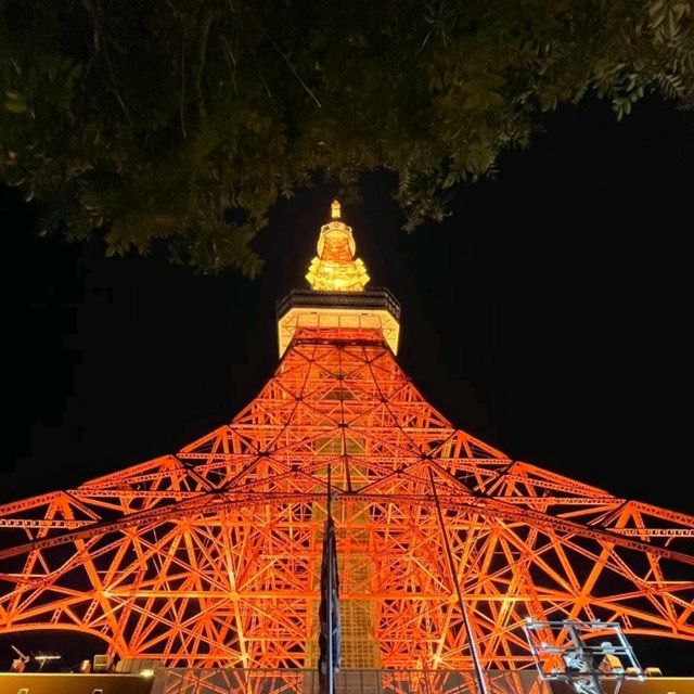  ✨東京漫遊｜從東京塔到《你的名字》聖地，赴一場跨次元之約✨ 