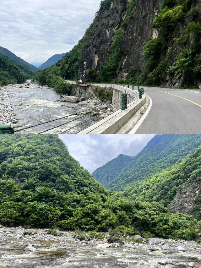 唐家河