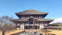 奈良東大寺，千年古剎的寂靜詩篇