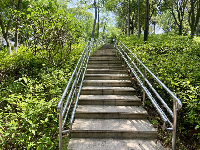 ☀️陽光下的沙井公園🌴✨城市中自然綠洲