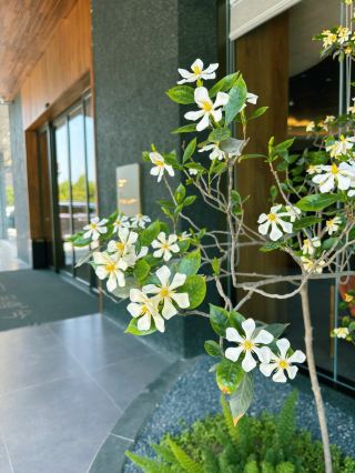 Shaoyang Tourism: Enjoy Natural Beauty and Cultural Features, Stay at an Oriental Aesthetic Hotel