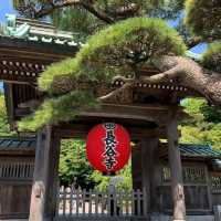 🌺鎌倉繡球花祭！明月院×長谷寺絕美賞花攻略+隱世民宿推介✨