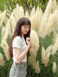 彌勒美憬閣，紅磚間的夢幻攝影之旅
