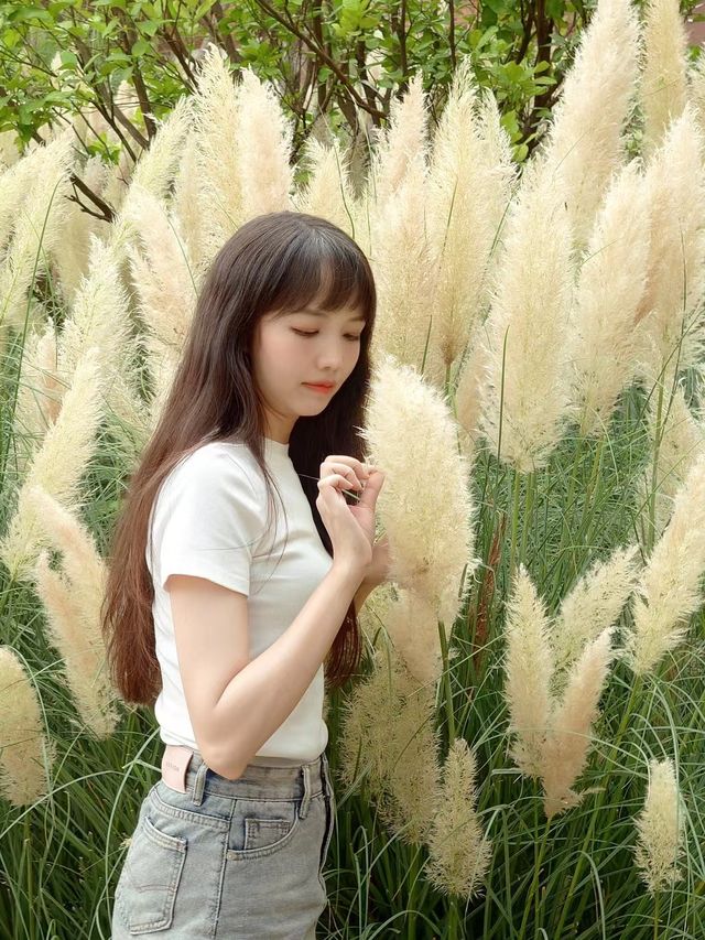 彌勒美憬閣，紅磚間的夢幻攝影之旅