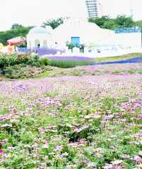 04女大學生嘅漫花莊園.冇女仔可以拒絕嘅花莊園