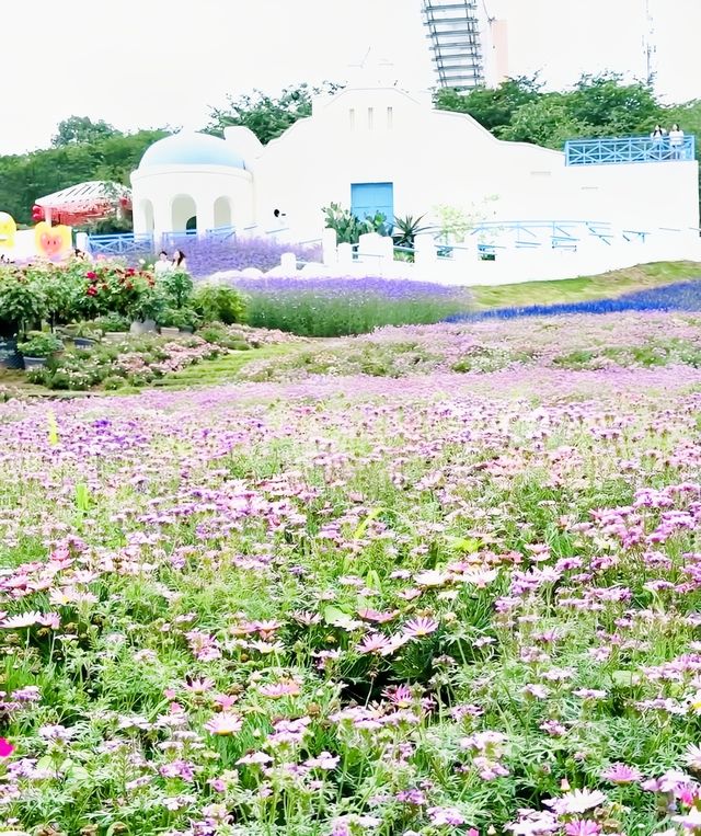 04女大學生嘅漫花莊園.冇女仔可以拒絕嘅花莊園