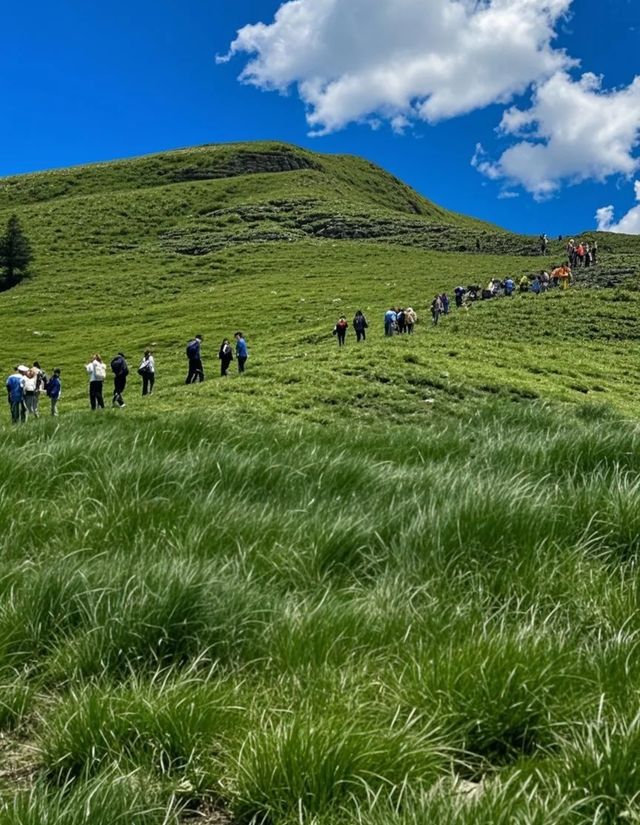 麻田嶺：京西秘境的自然饋贈
