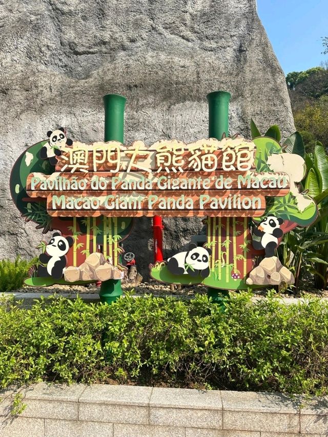 漫遊澳門路環小众秘境：跨境交通全攻略 