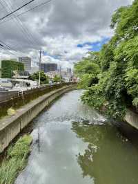 日本・九州熊本縣