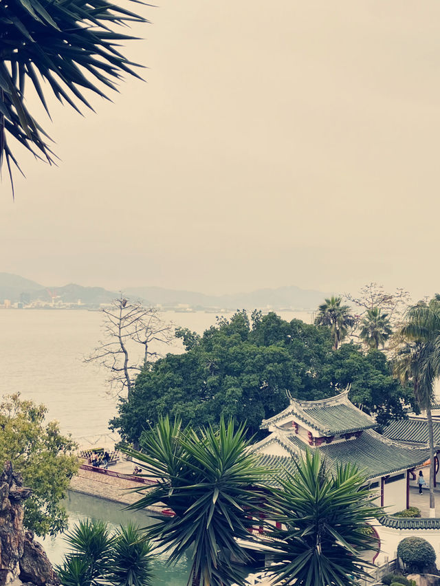 端午遊菽庄花园 體驗古典之韻