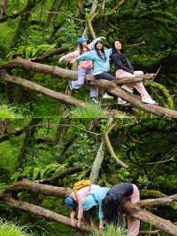 徒步旅行攻略喇叭河