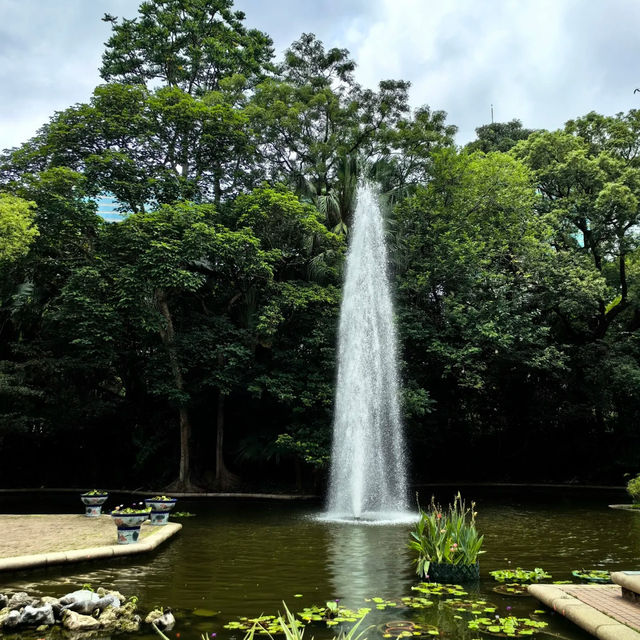 澳門衝香港！週末在九龍公園與火烈鳥噴泉共舞💖