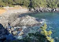 青島深度遊 | 入住漢庭，邂逅城市靈魂